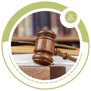 Litigii de Drept Civil 2 Claudia Cozma - Avocat Brasov